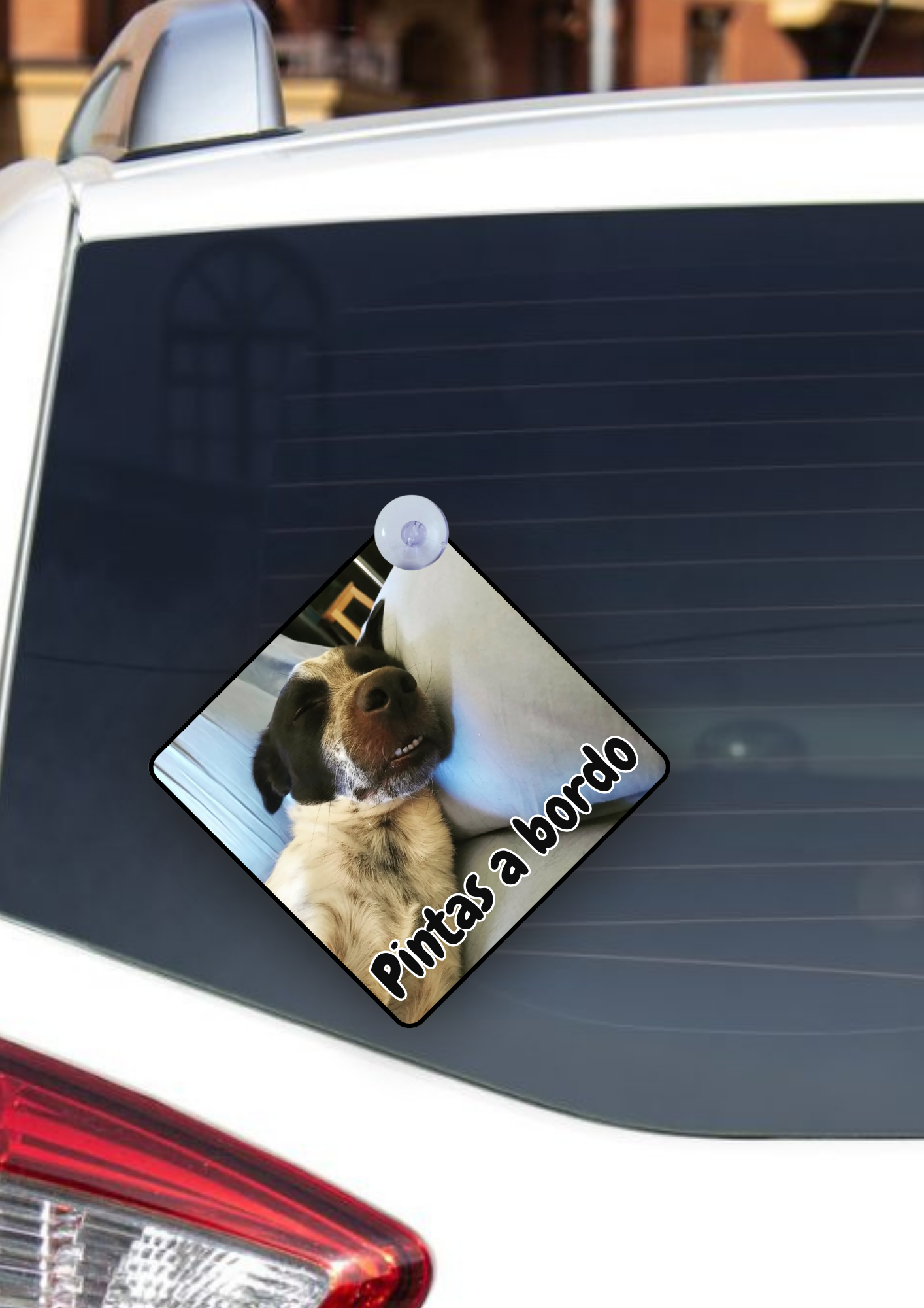 Placas para Carro Personalizadas