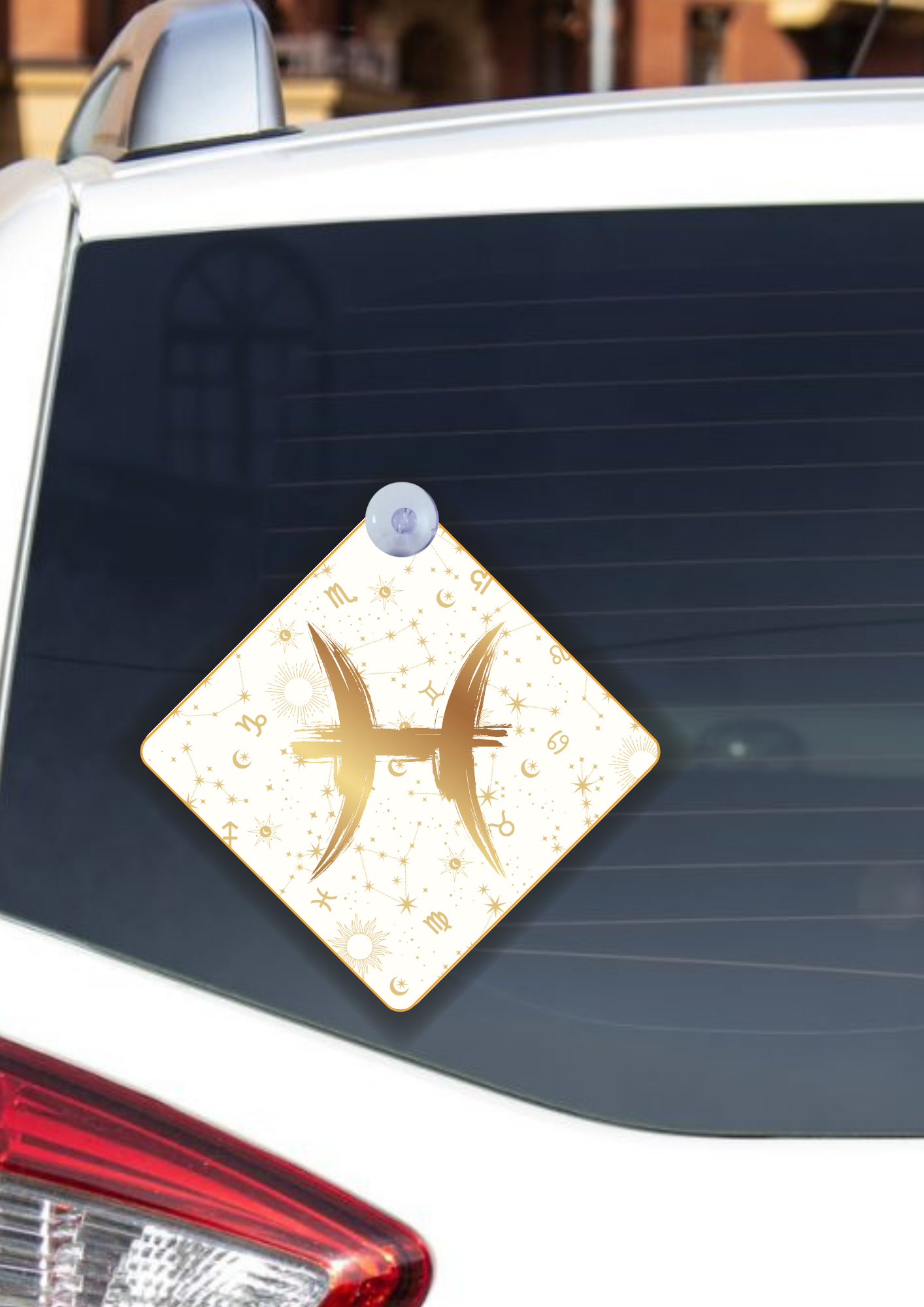 Placas para Carro Edição Zodíaco