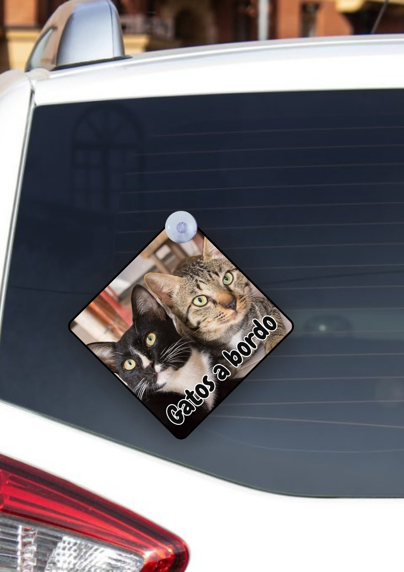 Placas para Carro Personalizadas