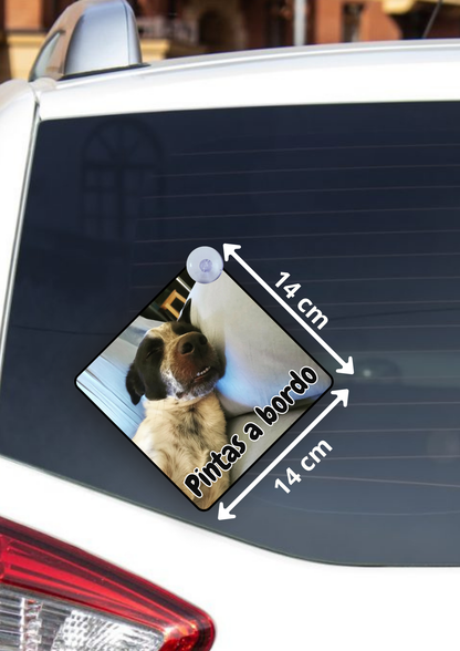 Placas para Carro Personalizadas