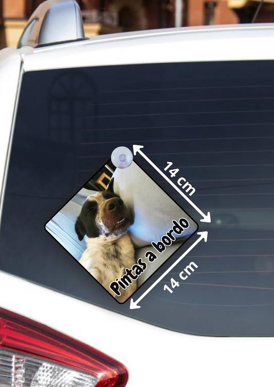 Placas para Carro Personalizadas